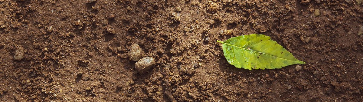 Отбор и анализ почвы и грунта