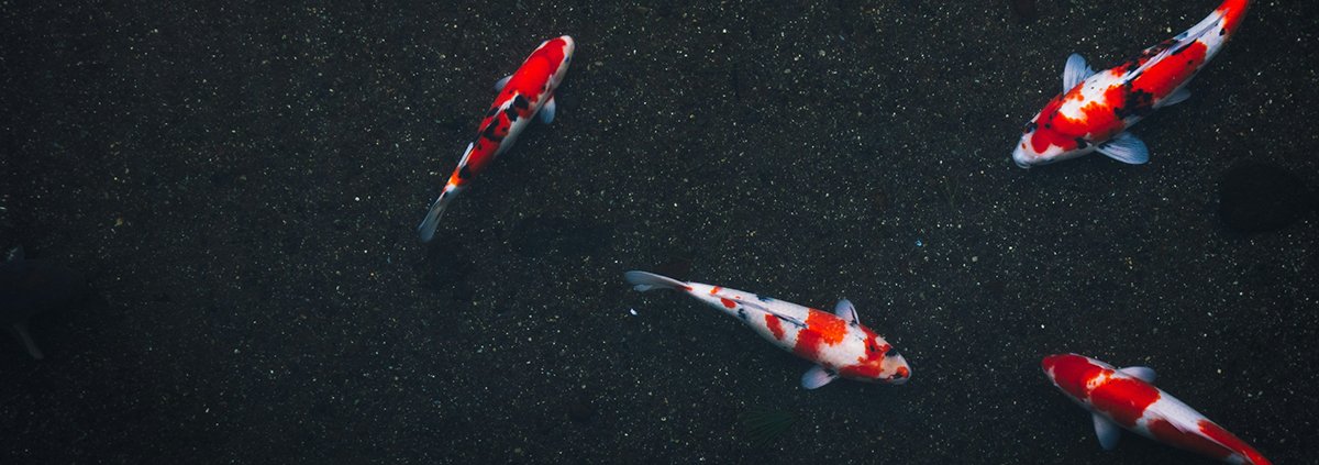 Мониторинг водных биоресурсов