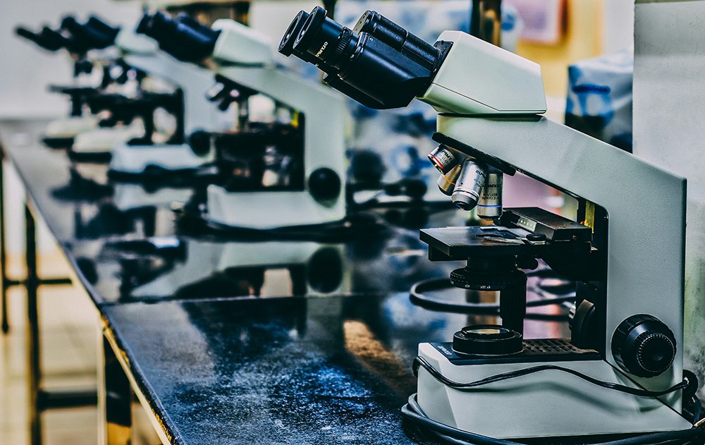 ousa-chea-gKUC4TMhOiY-unsplash