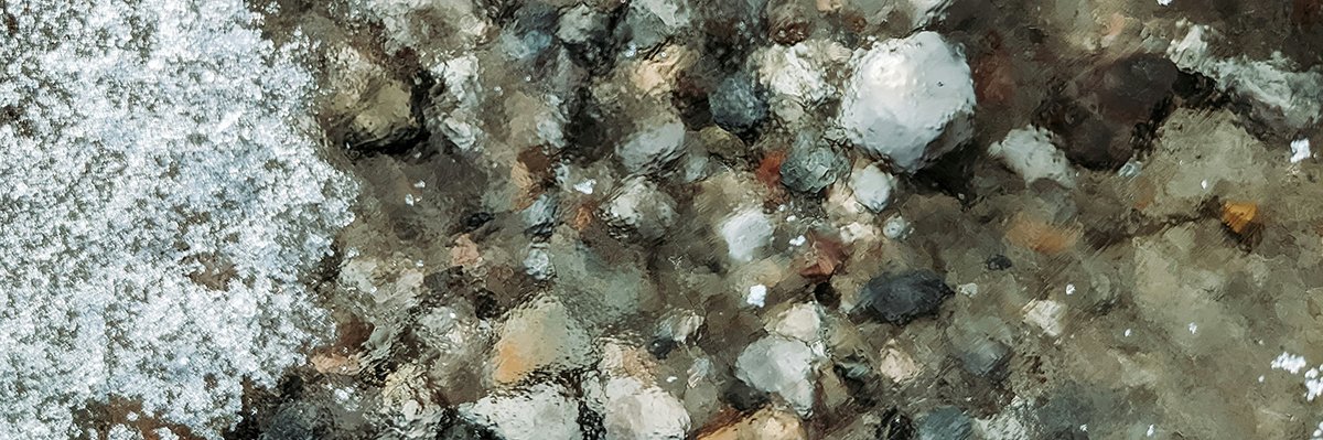 Мониторинг состояния и загрязнений донных отложений