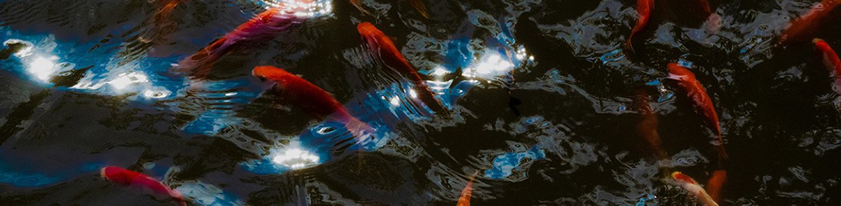 Биологическое тестирование